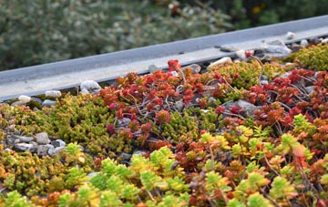 the cost of Templeborough green roof installation