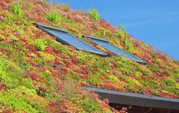 Templeborough living roof systems